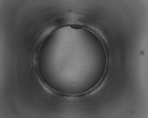 X0000096630889200802121045