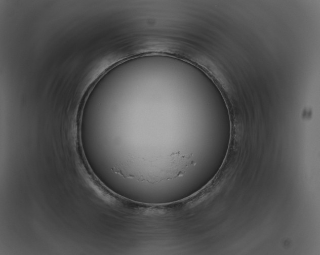 X0000096630890200802121045