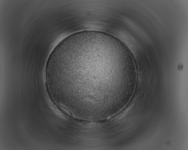 X0000096630891200802121045