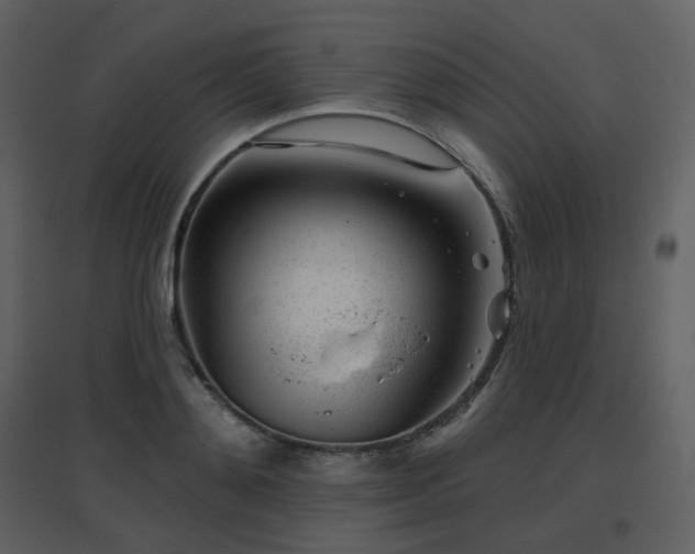 X0000096630892200802121045