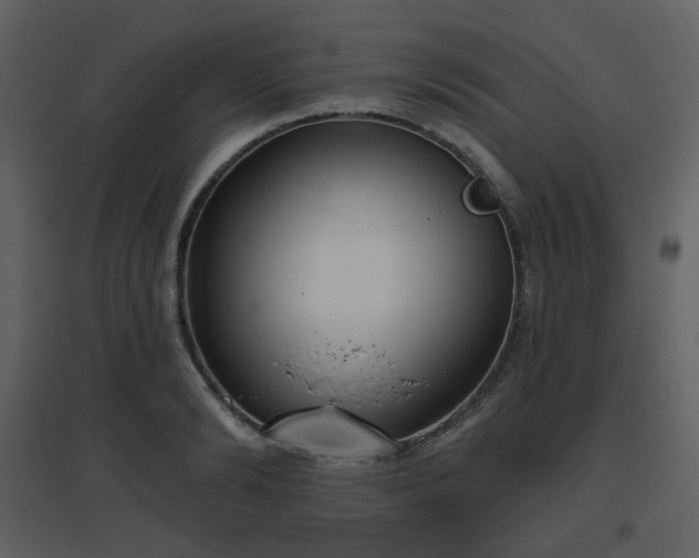X0000096630894200802121045