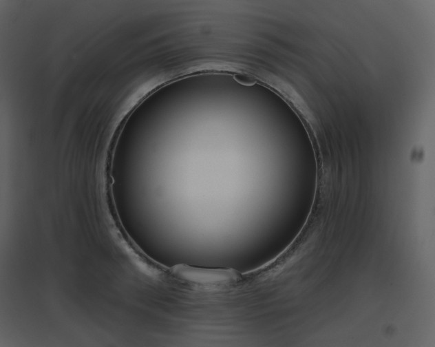 X0000096630898200802121045