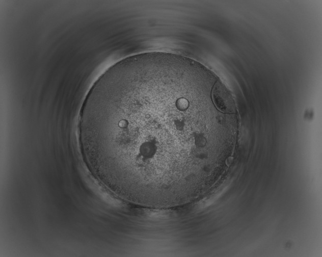 X0000096630899200802121045