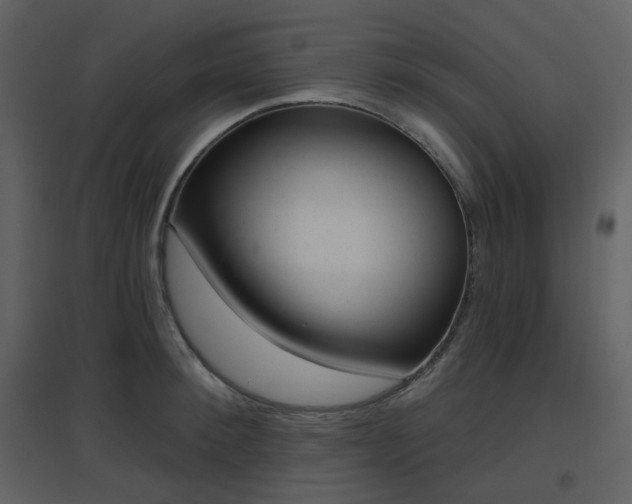 X0000096630900200802121045