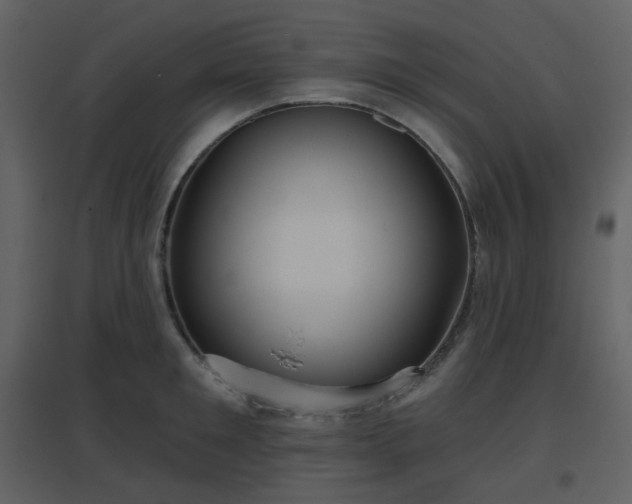 X0000096630901200802121045