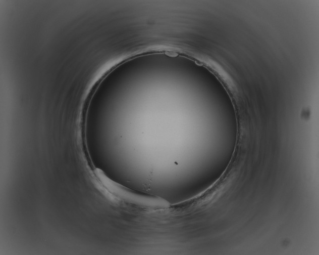 X0000096630902200802121045