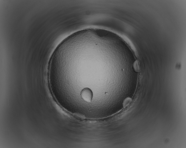 X0000096630903200802121045