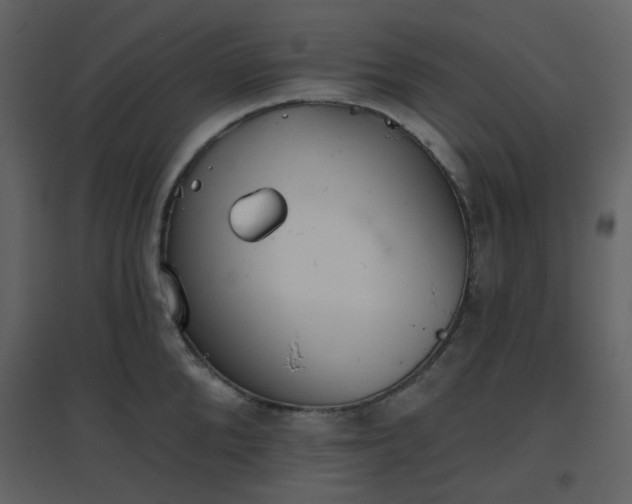 X0000096630904200802121045