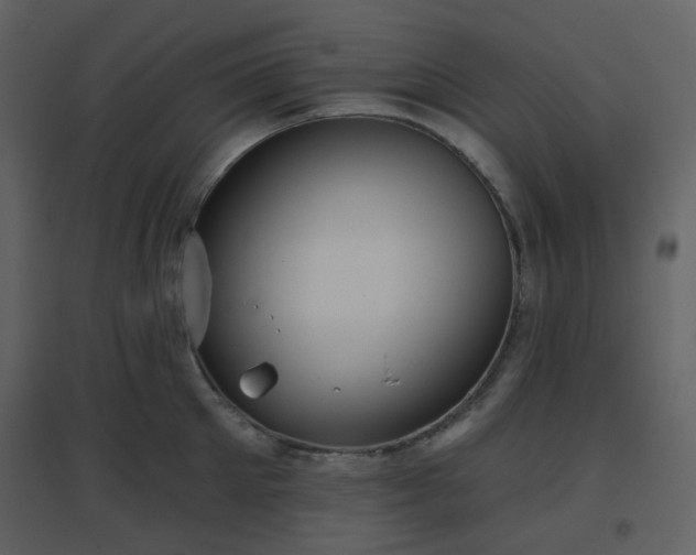 X0000096630905200802121045