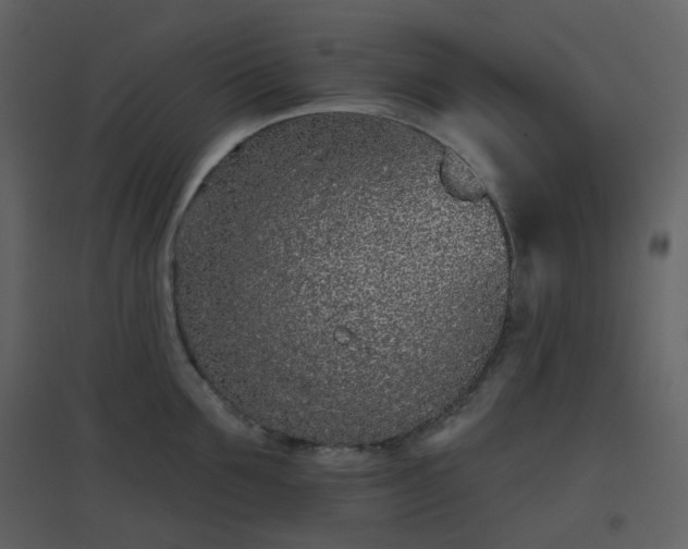 X0000096630907200802121045