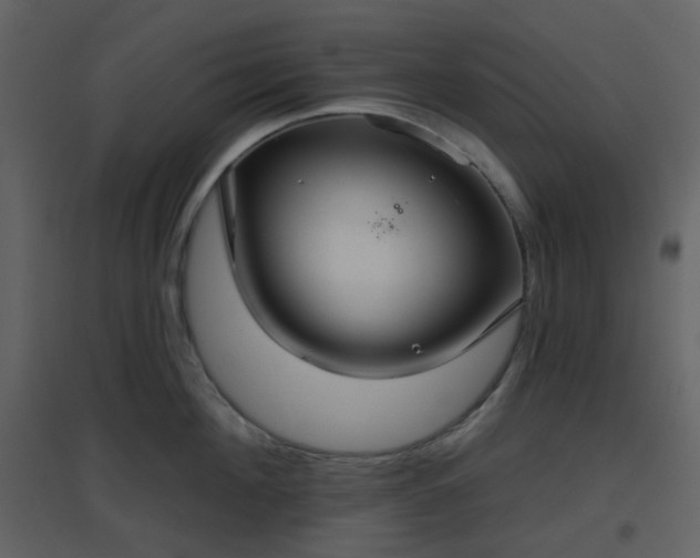 X0000096630908200802121045