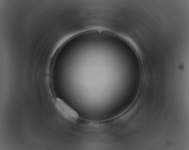 X0000096630910200802121044