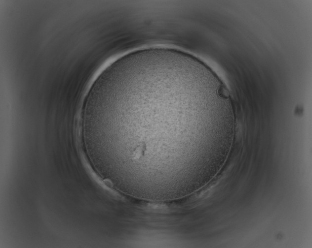X0000096630911200802121044