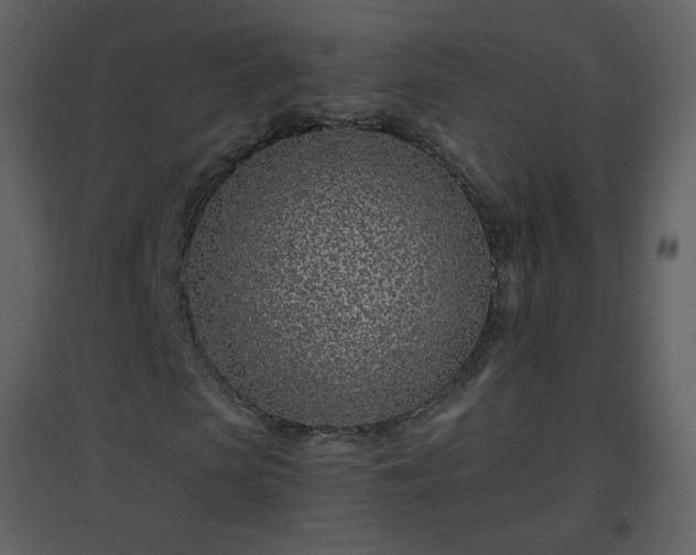 X0000096630913200802121044