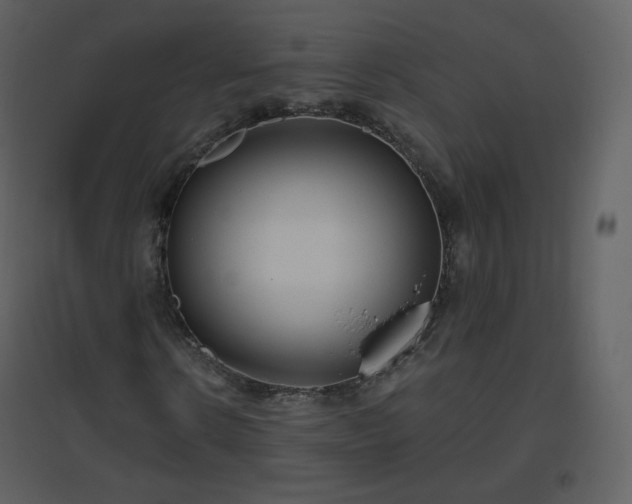 X0000096630914200802121044