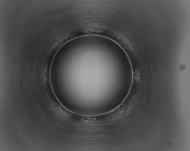 X0000096630915200802121044