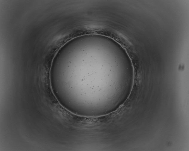 X0000096630917200802121044