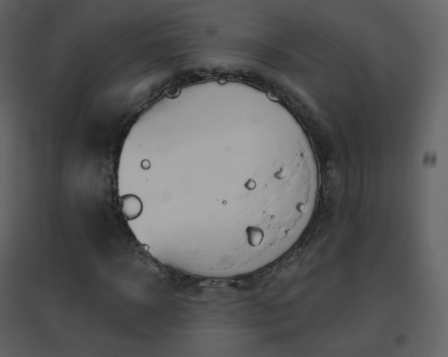 X0000096630918200802121044