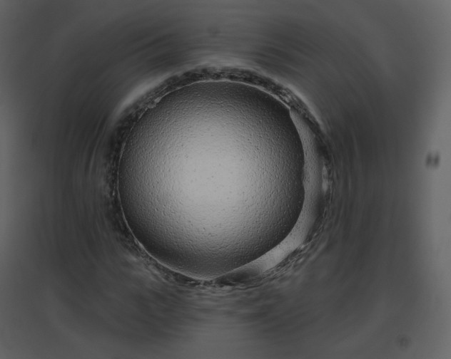 X0000096630919200802121044