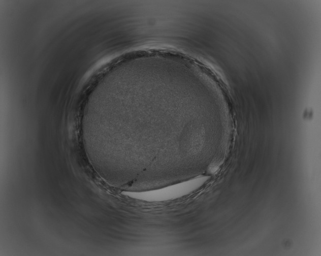 X0000096630920200802121044