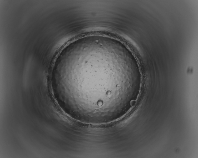 X0000096630921200802121044