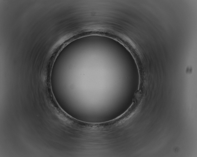 X0000096630922200802121044