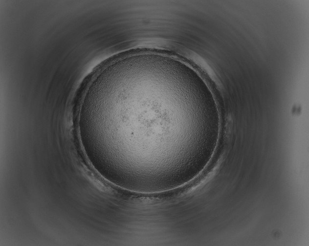 X0000096630923200802121044