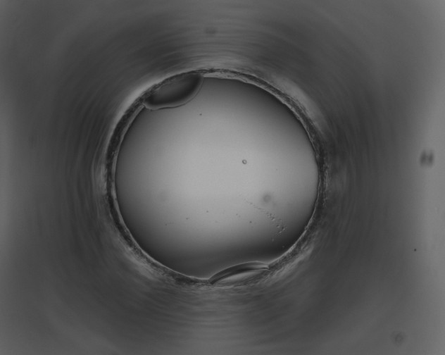 X0000096630924200802121044