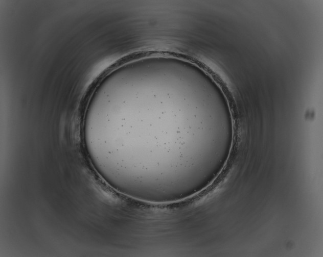 X0000096630925200802121044