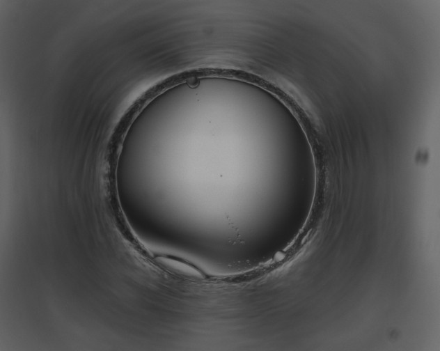 X0000096630926200802121044