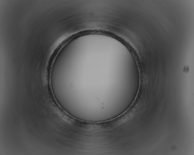 X0000096630927200802121044