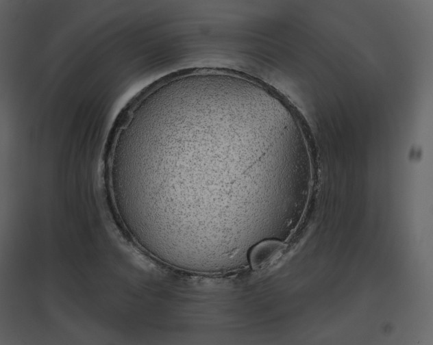 X0000096630928200802121044