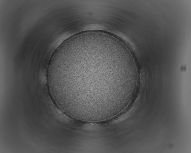 X0000096630929200802121044