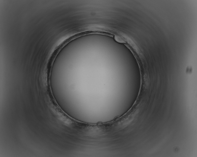 X0000096630931200802121044