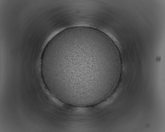 X0000096630933200802121044