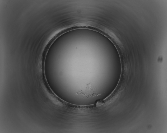 X0000096630934200802121044