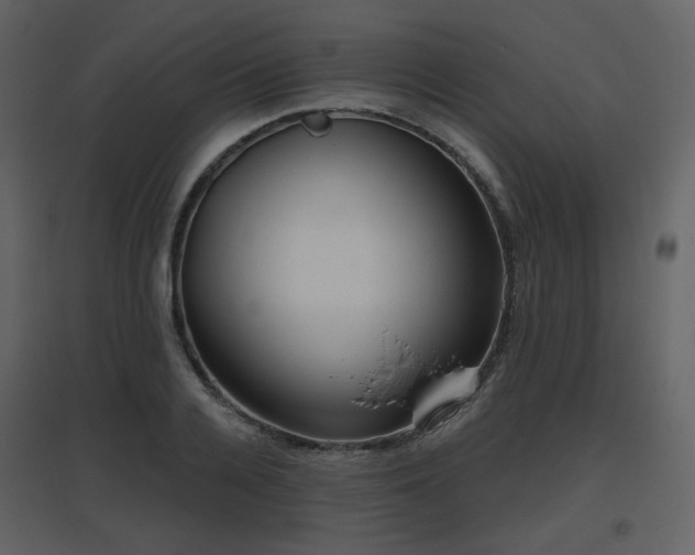 X0000096630936200802121044