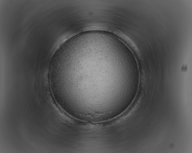 X0000096630937200802121044