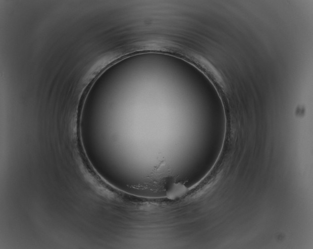 X0000096630938200802121044