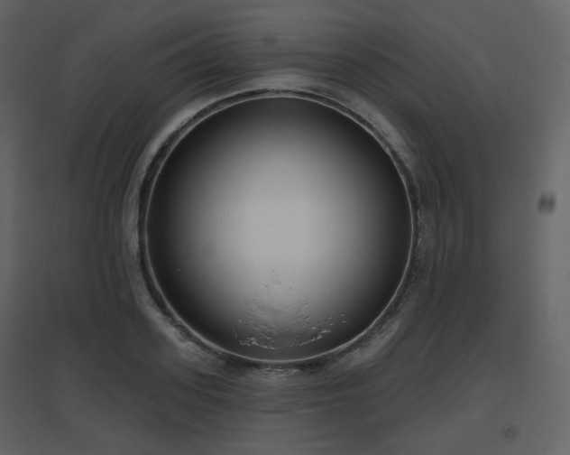 X0000096630939200802121044