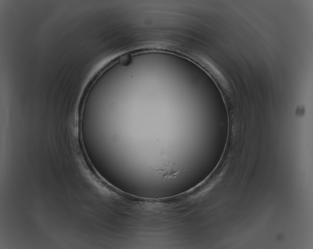X0000096630940200802121044