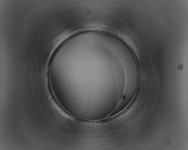 X0000096630941200802121044