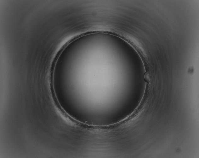 X0000096630942200802121044