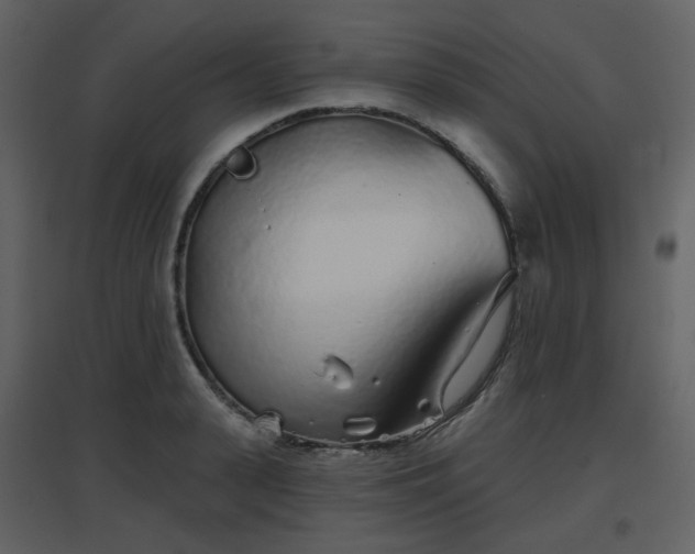 X0000096630943200802121044