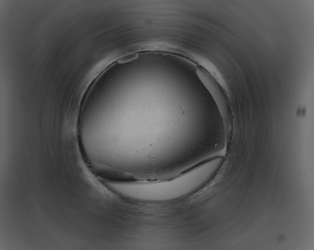 X0000096630946200802121044