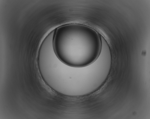 X0000096630948200802121044