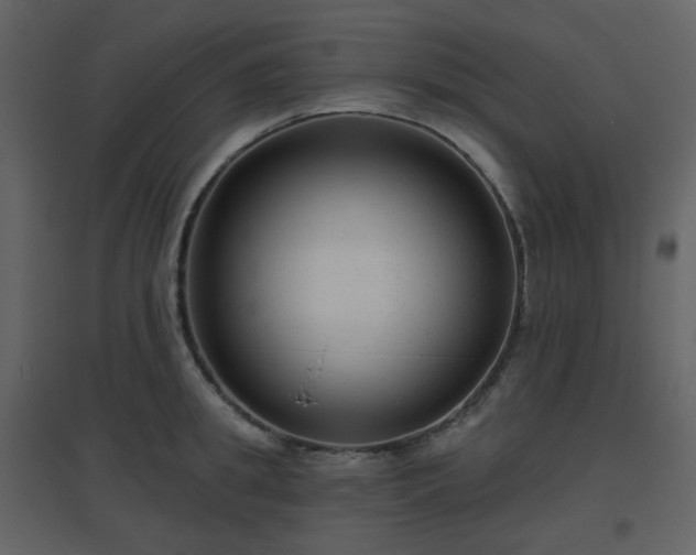 X0000096630949200802121044