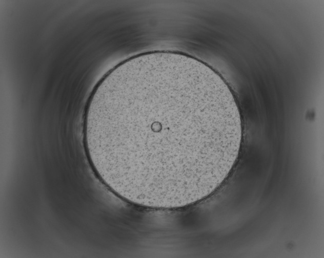 X0000096630950200802121044