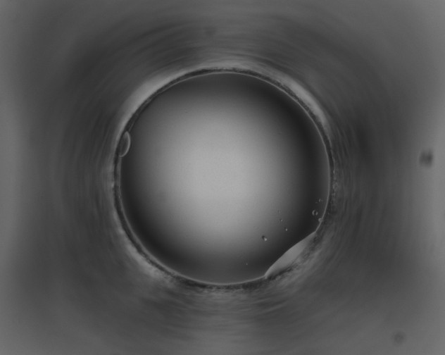 X0000096630951200802121044