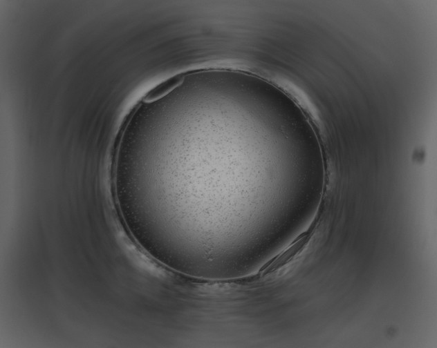 X0000096630952200802121044